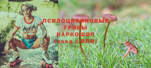 спайс Абаза