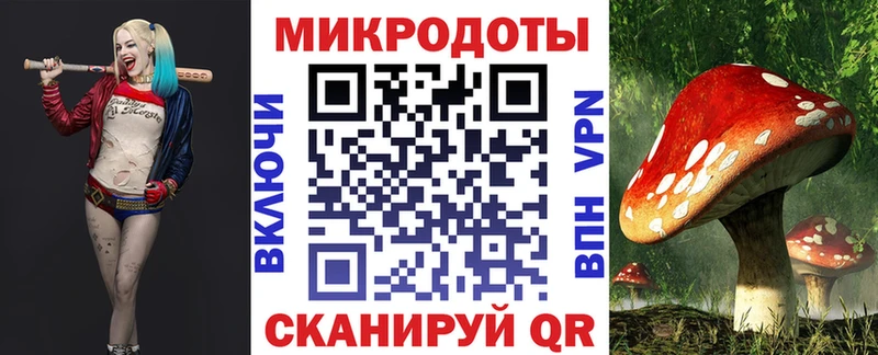 купить закладку Яхрома Псилоцибиновые грибы Psilocybine cubensis